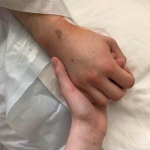 Meet your Posher, Sierra